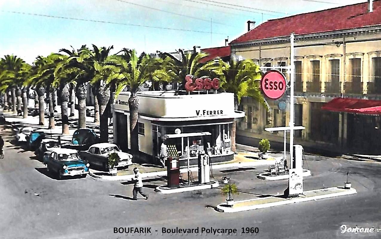 Boufarik - Boulevard Polycarpe - 1960.jpg